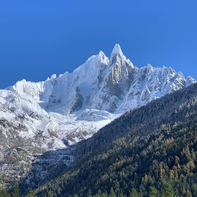 Belle Vue Des Praz Chamonix Exterior foto